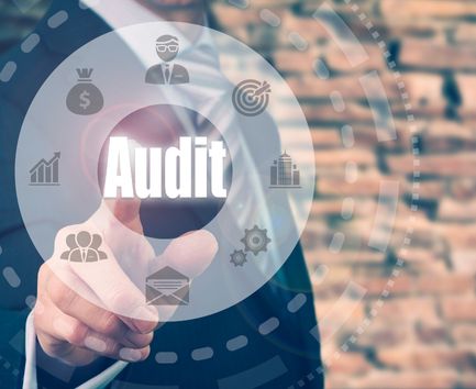 Website Audit Service