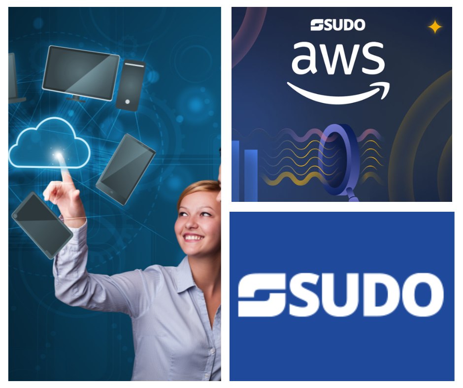 SUDO Consultants