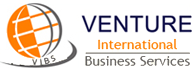VENTURE INTERNATIONAL BUSINESS SERVICES 